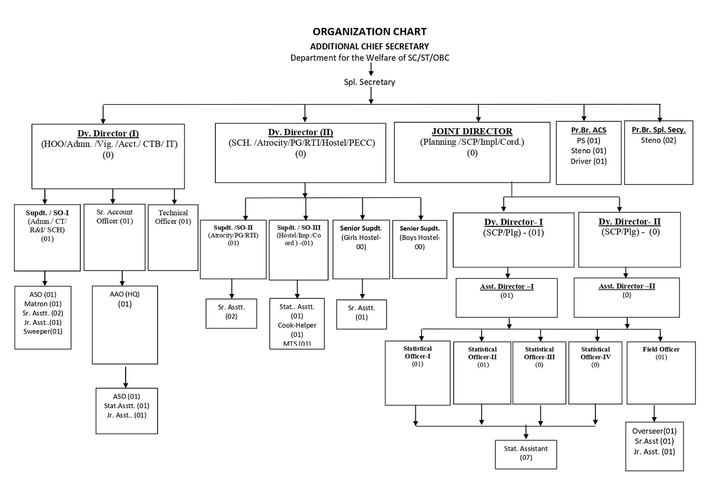 organogram_09.7.26