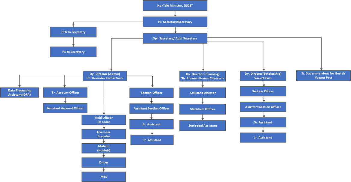 organogram